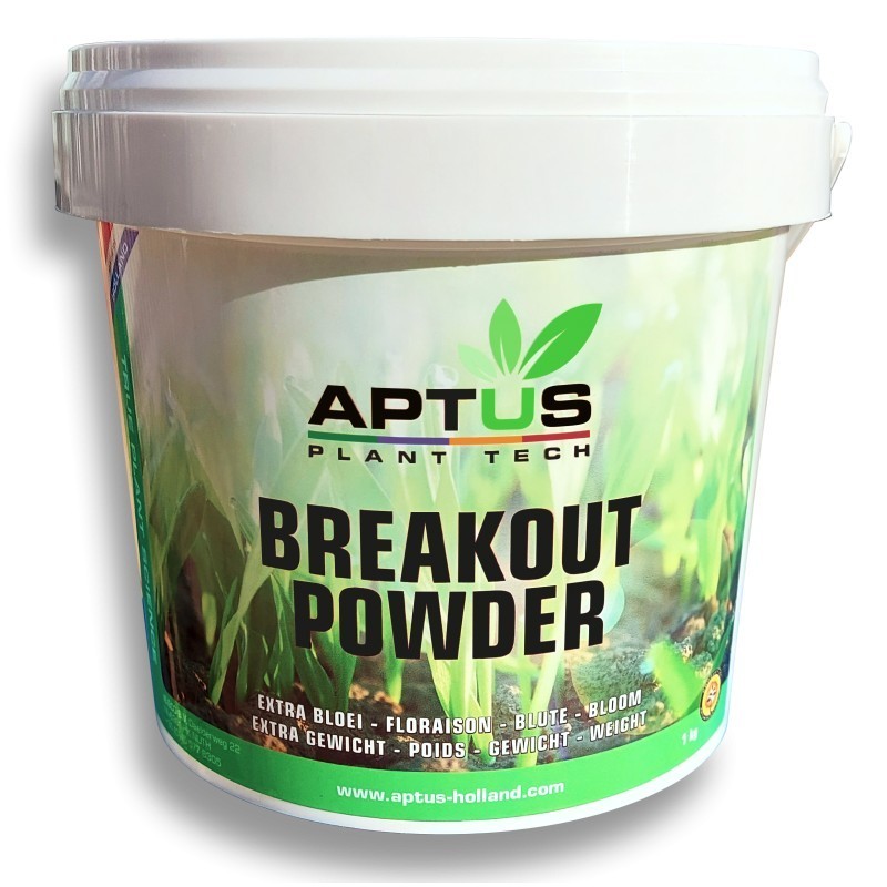 Breakout Powder 1 Kg - Aptus