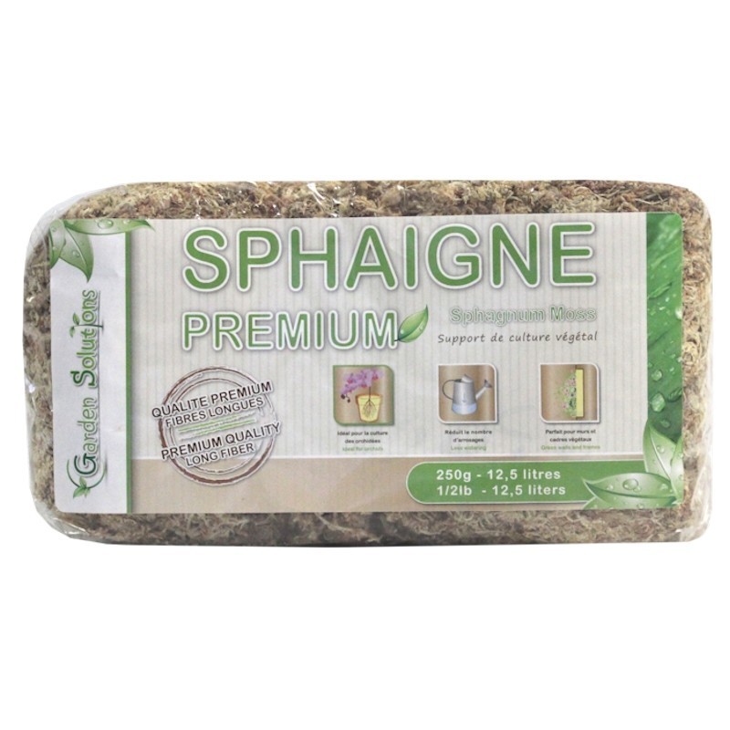 Sphaigne du Chili 250 gr Qualité Premium