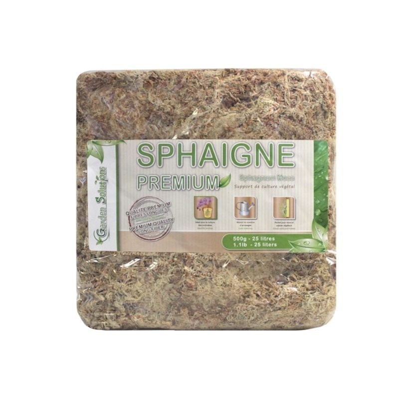 Sphaigne du Chili 500 gr Qualité Premium