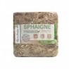 Sphaigne du Chili 500 gr Qualité Premium