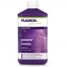 Power Root 1 Lt Plagron