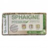 Sphaigne du Chili 150 gr Qualité Premium