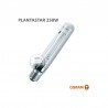 Osram Plantastar 250 Watt