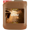 BIO BOOST 5 L - BIOCANNA