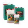 CANNAZYM 250 ml - CANNA