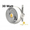 Monkey Fan 30W  Secret Jardin