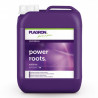 Power Root 10 Lt Plagron