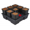 WILMA XL 8 Plantes (11L pots)  90x90 cm