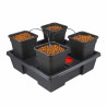 WILMA Large 4 ( 11L pots) EU